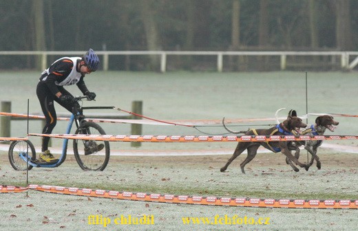 Rastede 08 - 1607.jpg